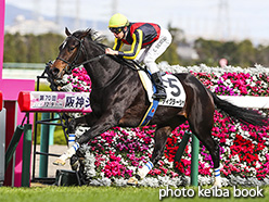カラーパネル2018年12月9日阪神5R 2歳新馬(ティグラーシャ)