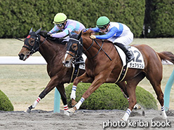 カラープリント(アルミ枠付き)2018年12月15日阪神1R 2歳未勝利(ナムラオッケー)