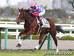 カラーパネル2018年12月15日阪神5R 2歳新馬(イルヴェントドーロ)