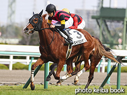 カラーパネル2018年12月23日阪神6R 2歳新馬(エイシンオズ)