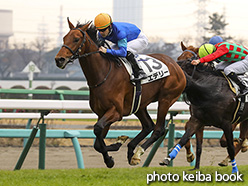 カラーパネル2018年12月23日中山3R 2歳未勝利(エデリー)