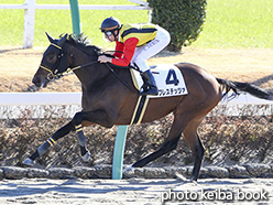 カラーパネル2018年12月28日中山2R 2歳未勝利(プレステッツァ)