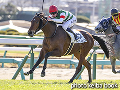 カラーパネル2018年12月28日中山3R 2歳未勝利(ハーメティキスト)