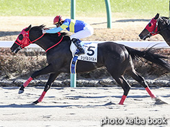 カラーパネル2018年12月28日中山4R 2歳未勝利(シュバルツバルト)