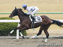 カラープリント(アルミ枠付き)2019年1月5日京都4R 3歳新馬(タイミングナウ)
