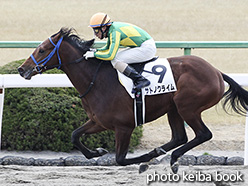 カラープリント(アルミ枠付き)2019年1月6日京都3R 3歳新馬(サトノクライム)