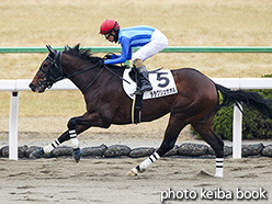 カラープリント(アルミ枠なし)2019年1月12日京都4R 3歳新馬(ララクリュサオル)