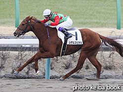 カラーパネル2019年1月12日中山1R 3歳未勝利(シゲルスピネル)