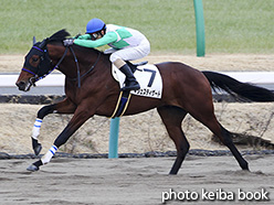 カラープリント(アルミ枠なし)2019年1月12日中山2R 3歳未勝利(マジェスティゲート)