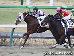 カラープリント(アルミ枠付き)2019年1月12日中山4R 3歳新馬(ナガレボシトリキシ)