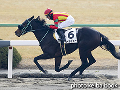 カラープリント(アルミ枠付き)2019年1月13日京都2R 3歳新馬(パールデュー)