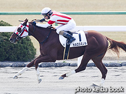 カラープリント(アルミ枠付き)2019年1月13日京都3R 3歳未勝利(カルロスミノル)