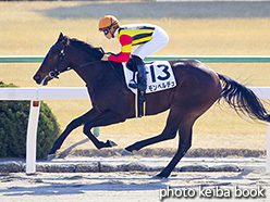 カラープリント(アルミ枠なし)2019年1月13日京都4R 3歳500万下(モンペルデュ)