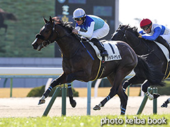 カラープリント(アルミ枠なし)2019年1月13日京都5R 3歳未勝利(アドマイヤレオ)