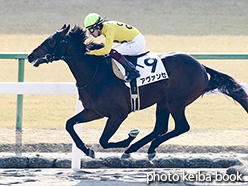 カラープリント(アルミ枠なし)2019年1月19日京都2R 3歳新馬(アヴァンセ)