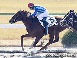 カラーパネル2019年1月19日京都4R 3歳新馬(ララケリア)