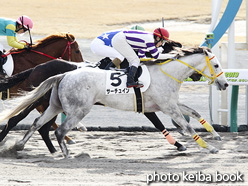 カラーパネル2019年1月27日中京1R 3歳未勝利(サーチュイン)