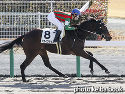 カラーパネル2019年1月27日中京2R 3歳未勝利(アオイツヤヒメ)