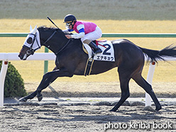 カラープリント(アルミ枠付き)2019年2月10日京都1R 3歳未勝利(エナキョウ)