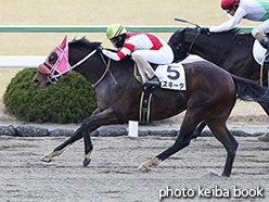 カラーパネル2019年2月10日京都3R 3歳500万下(メスキータ)