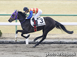 カラープリント(アルミ枠なし)2019年2月16日京都3R 3歳新馬(テーオーキャンディ)