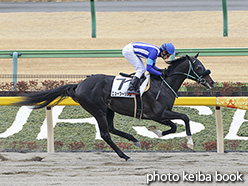 カラーパネル2019年2月17日東京1R 3歳未勝利(ニューツーリズム)