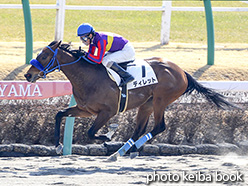 カラープリント(アルミ枠付き)2019年2月23日中山1R 3歳未勝利(ディレット)