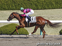 カラーパネル2019年3月9日阪神1R 3歳未勝利(スマートアテナ)