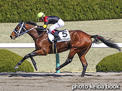 カラーパネル2019年3月9日阪神3R 3歳未勝利(シホノフォルテ)