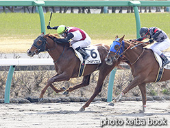 カラープリント(アルミ枠なし)2019年3月16日中山2R 3歳未勝利(ゴールデンウェル)