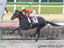 カラープリント(アルミ枠付き)2019年3月16日中山4R 3歳新馬(ブラックヘイロー)
