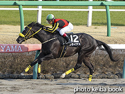 カラーパネル2019年3月16日中山10R 韓国馬事会杯(ゴライアス)