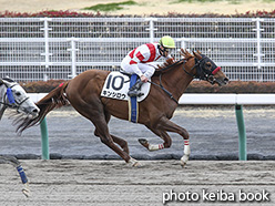 カラーパネル2019年3月17日中京1R 3歳未勝利(キンシロウ)