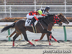 カラーパネル2019年3月24日中京2R 3歳未勝利(トモジャバロンド)