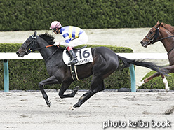 カラーパネル2019年3月31日阪神2R 3歳未勝利(モルトグランデ)