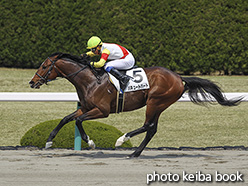 カラーパネル2019年4月7日阪神6R 4歳上500万下(パキュートハート)