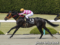 カラーパネル2019年4月7日阪神8R 天王寺特別(アーバンイェーガー)