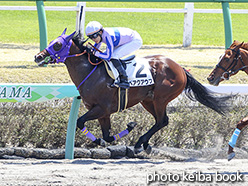 カラーパネル2019年4月13日中山3R 3歳未勝利(ベアクアウフ)