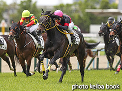 カラープリント(アルミ枠なし)2019年4月28日京都3R 3歳未勝利(ブランシェット)