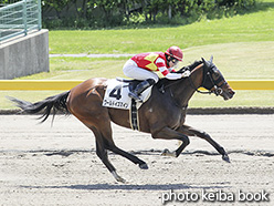 カラーパネル2019年4月29日新潟2R 3歳未勝利(ワールドイズマイン)