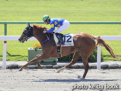 カラーパネル2019年5月4日京都1R 3歳未勝利(ゴッドバンブルビー)