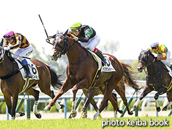 カラーパネル2019年5月4日京都3R 3歳未勝利(トップオブメジャー)