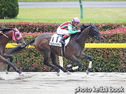 カラープリント(アルミ枠付き)2019年5月19日東京3R 3歳未勝利(ベルウッドカザン)