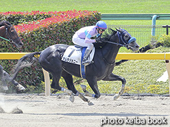 カラープリント(アルミ枠付き)2019年5月26日東京1R 3歳未勝利(ナムラジョニー)