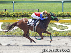 カラープリント(アルミ枠なし)2019年5月26日東京3R 3歳未勝利(ラブヴィサージュ)