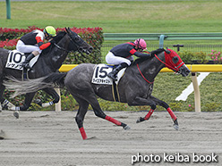 カラーパネル2019年6月2日東京7R 3歳上1勝クラス(ダイスアキャスト)