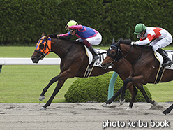 カラープリント(アルミ枠なし)2019年6月23日阪神2R 3歳未勝利(メイショウヤワラギ)