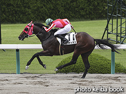 カラープリント(アルミ枠なし)2019年6月23日阪神6R 3歳上1勝クラス(ロフティネス)