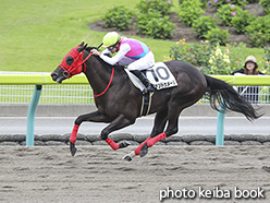 カラーパネル2019年6月29日福島6R 2歳新馬(ヴァンドゥメール)