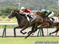 カラーパネル2019年7月7日福島5R 2歳新馬(エヴァーガーデン)